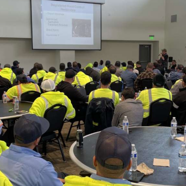 Group of workers in neon vest face projector screen for a presentation