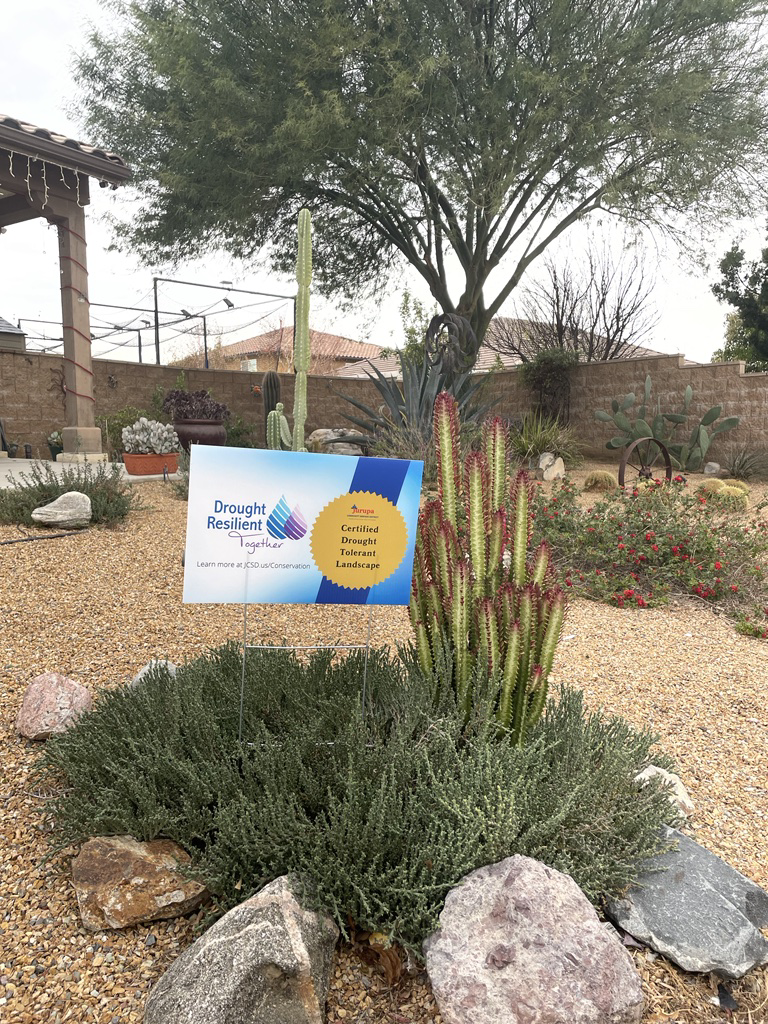 drought resilient plant