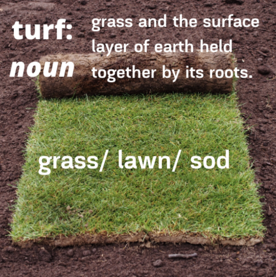 turf noun explanation