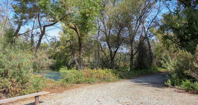 Chino Creek Wetlands and Education Park