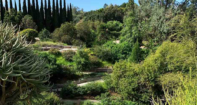 University of California Riverside Botanic Gardens